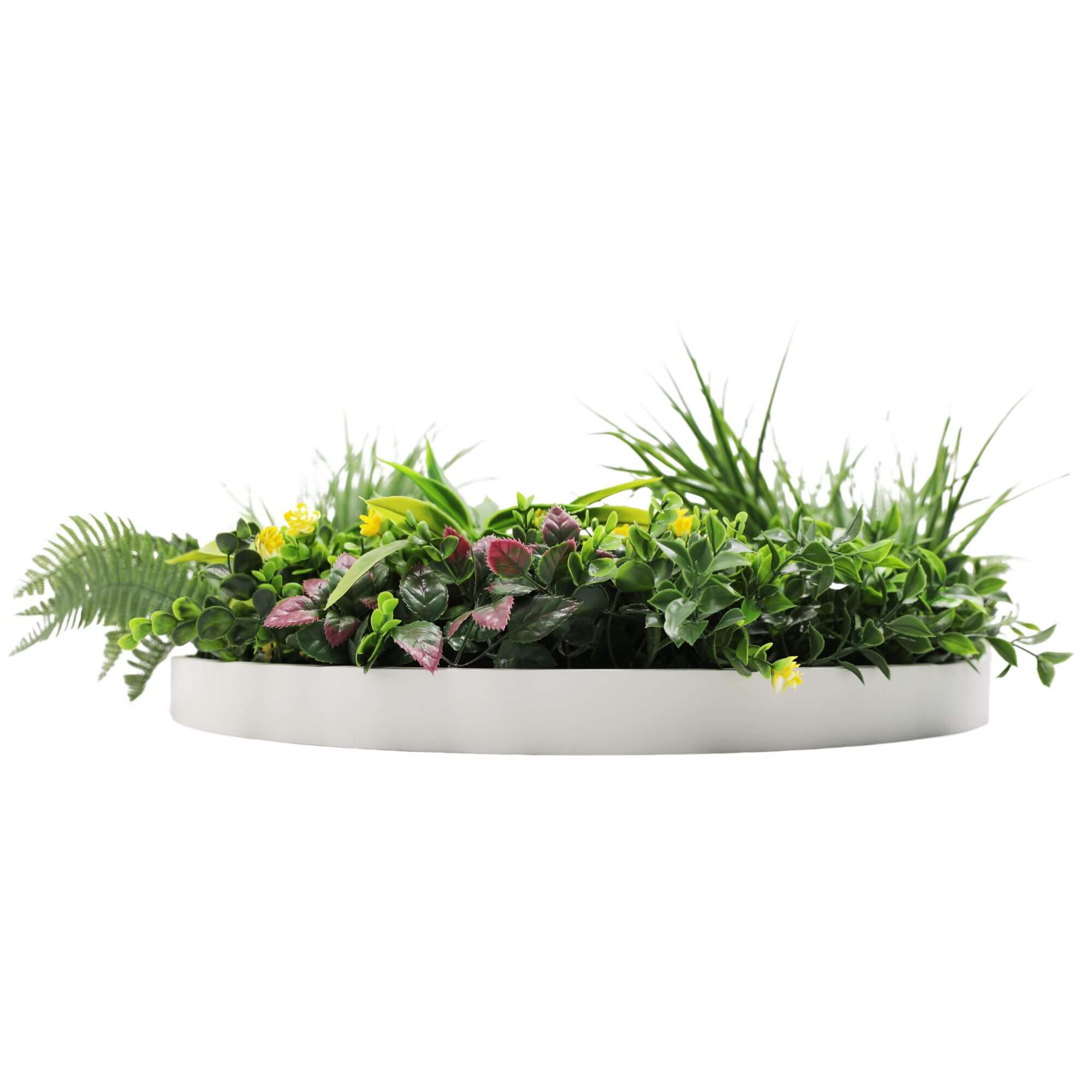 Slimline Artificial Green Wall Disc Art 60cm Country Fern UV Resistant (White) V637-DP9964