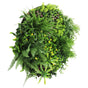 Slimline Artificial Green Wall Disc Art 80cm Country Fern UV Resistant (White) V637-DP9965