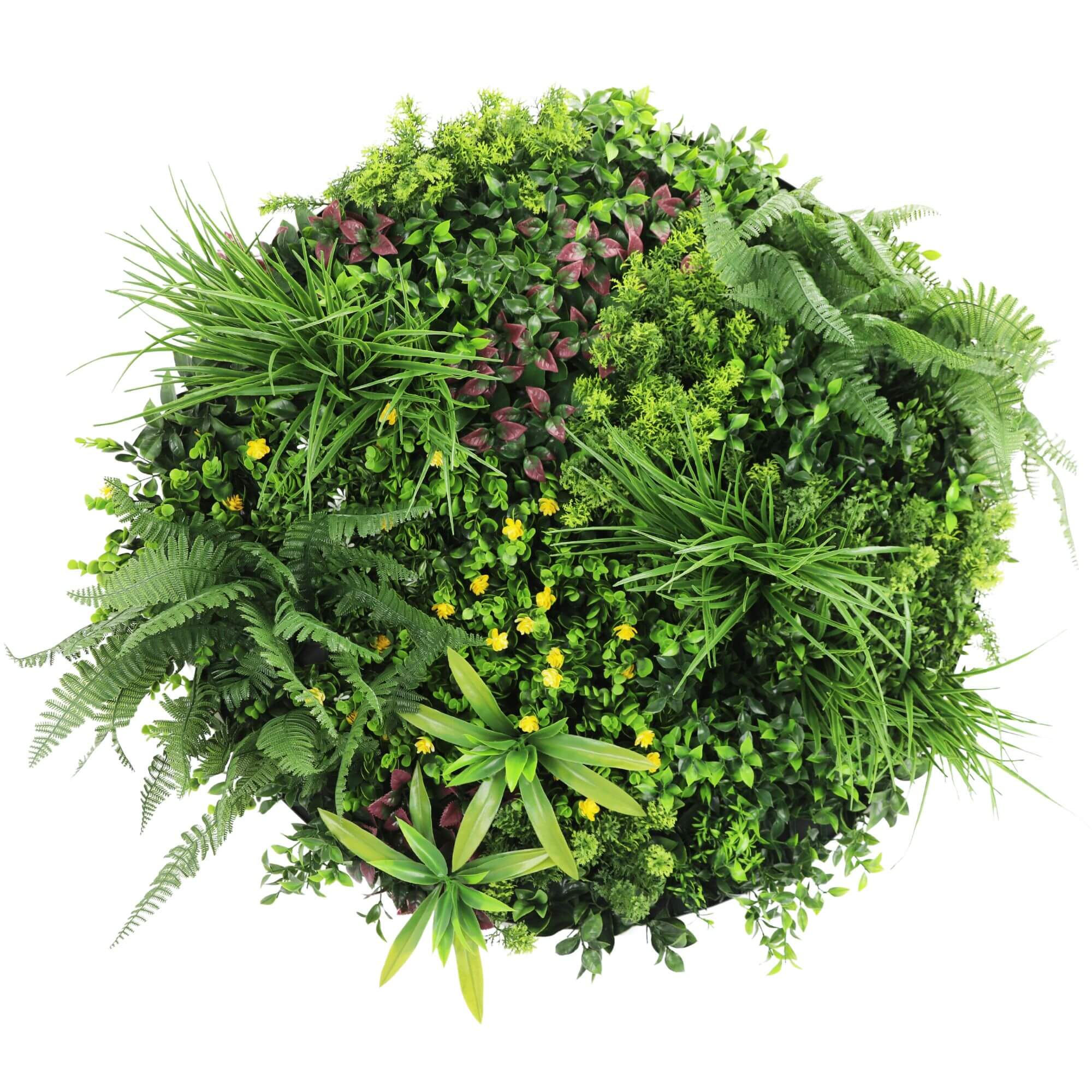 Slimline Artificial Green Wall Disc Art 80cm Country Fern UV Resistant (White) V637-DP9965