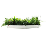 Slimline Artificial Green Wall Disc Art 80cm Country Fern UV Resistant (White) V637-DP9965