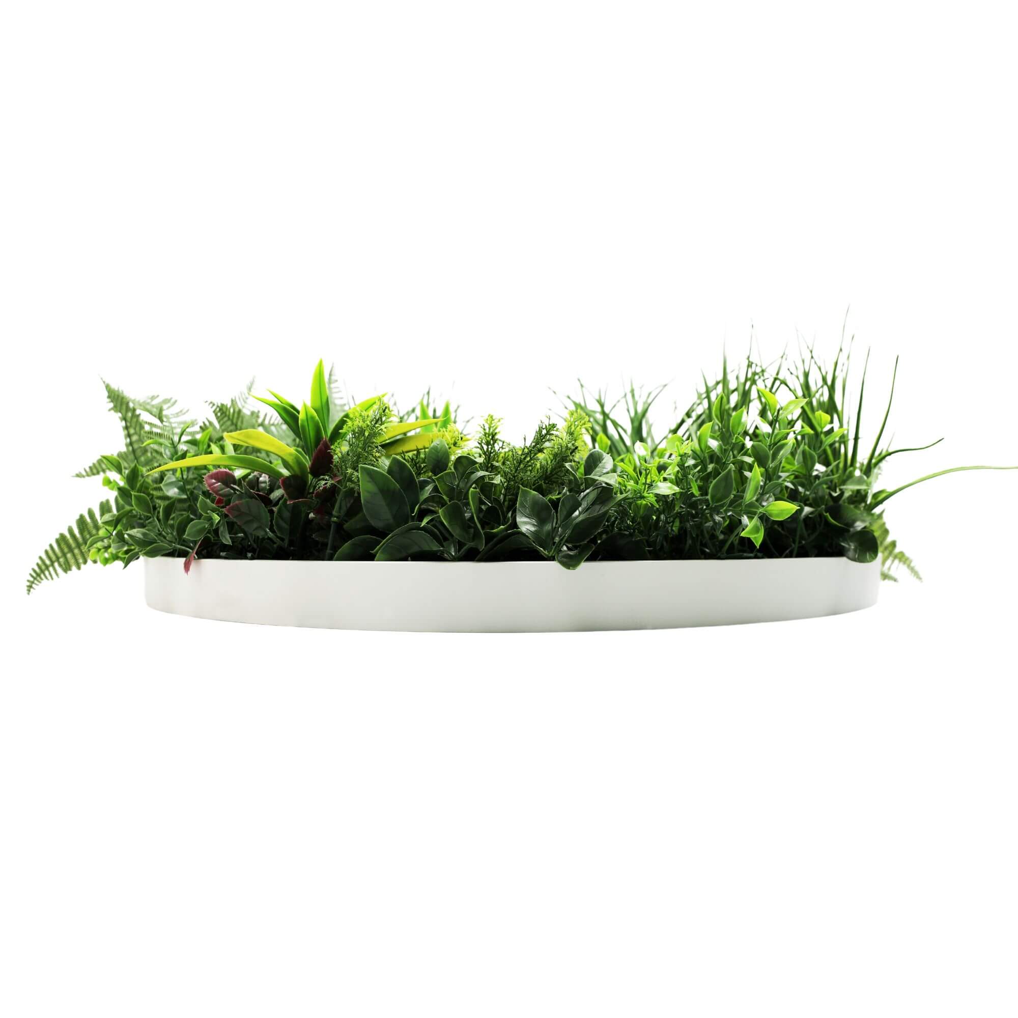 Slimline Artificial Green Wall Disc Art 80cm Country Fern UV Resistant (White) V637-DP9965