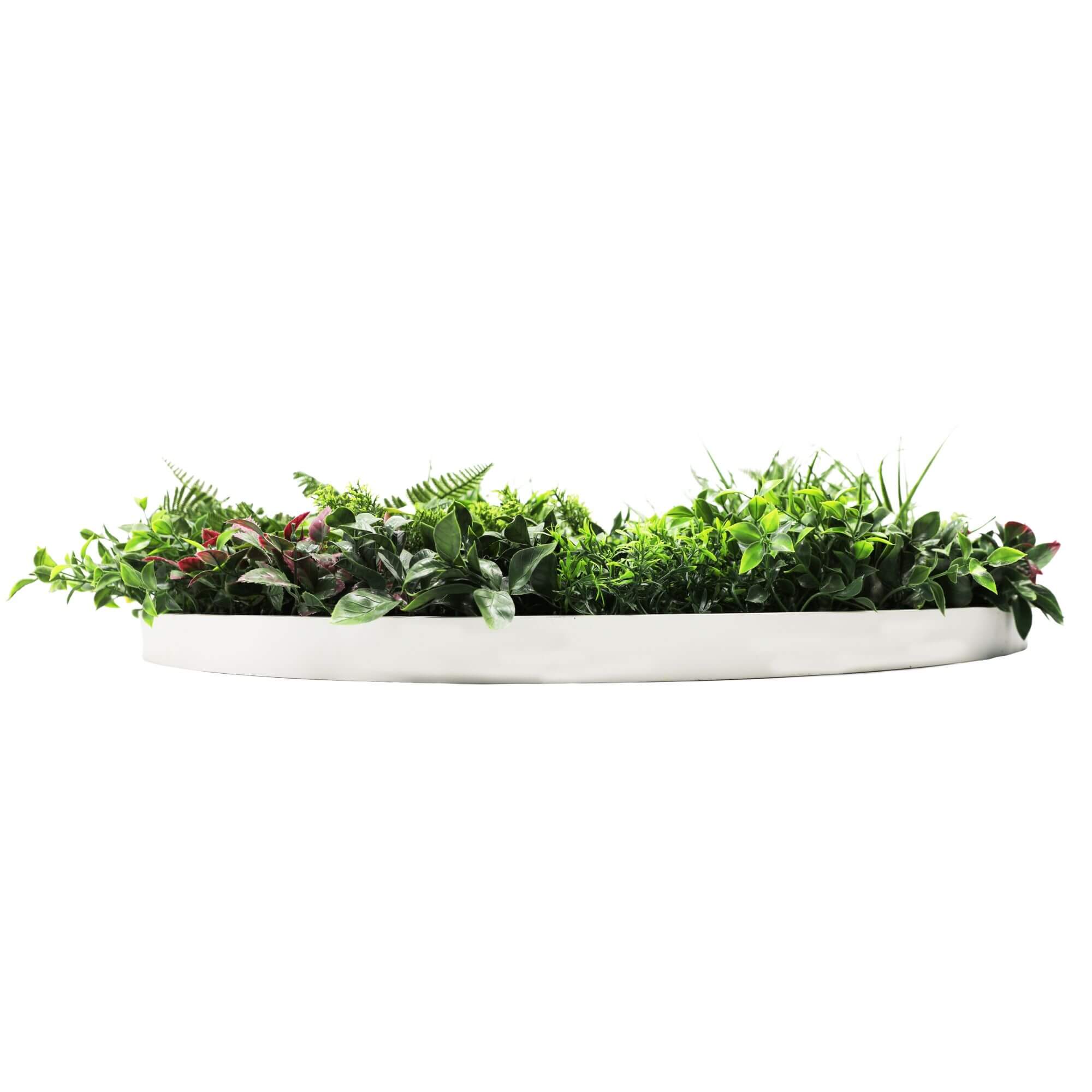 Slimline Artificial Green Wall Disc Art 100cm Country Fern UV Resistant (White) V637-DP9966
