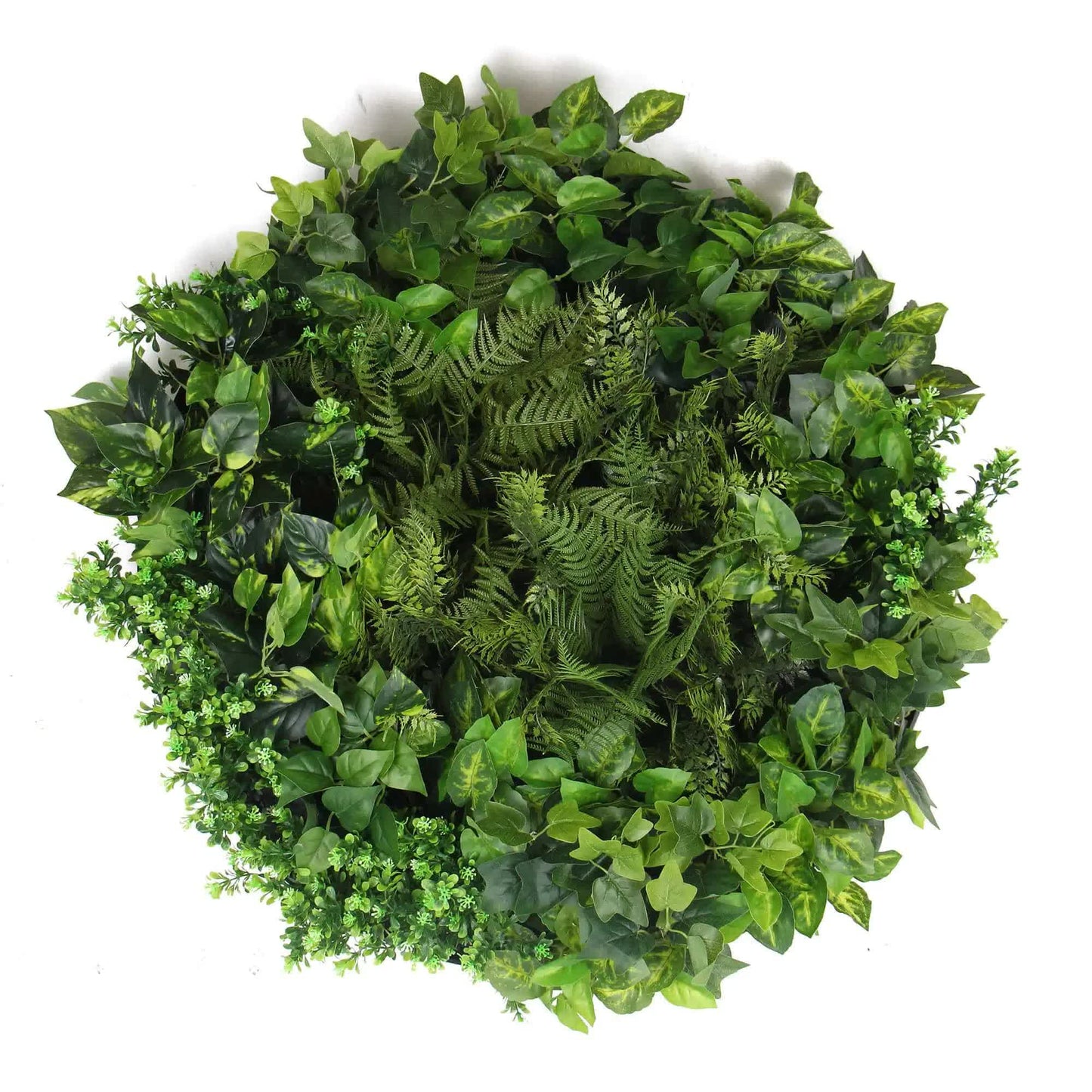 Slimline Artificial Green Wall Disc Art 80cm Mixed Green Fern & Ivy (Modern Black) V637-DPN1112832