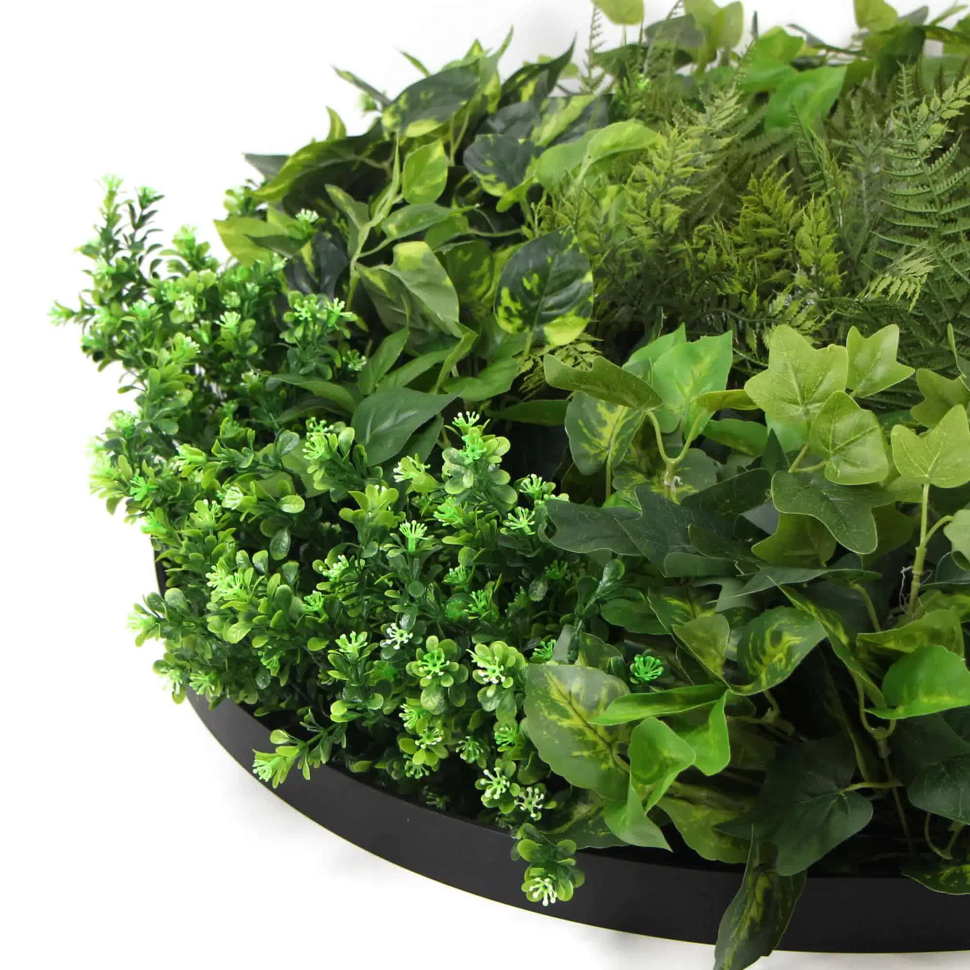 Slimline Artificial Green Wall Disc Art 80cm Mixed Green Fern & Ivy (Modern Black) V637-DPN1112832