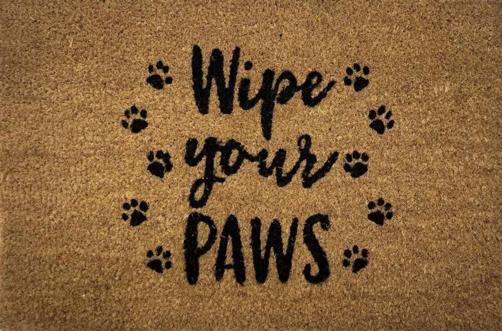 Wipe Your Paws Doormat Door Mat 60x40cm V637-E423622