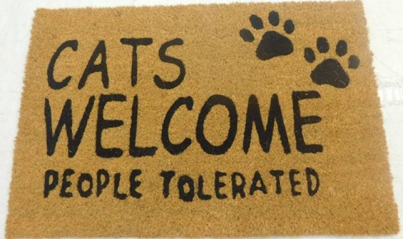 Cats Welcome People Tolerated Doormat 60x40cm V637-E423706