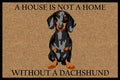 A House Is Not A Home Without A Dachshund Doormat 60x40cm V637-E423729
