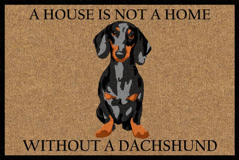 A House Is Not A Home Without A Dachshund Doormat 60x40cm V637-E423729