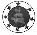 Animal Star Wall Art 61x61cm V637-E522799