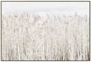 Pampas Grass Framed Canvas Wall Art 120cm V637-E592339
