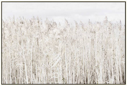 Pampas Grass Framed Canvas Wall Art 120cm V637-E592339