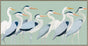 Flock of Birds Framed Canvas 120cm V637-E592474