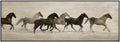 Gallopping Horse Framed Artwork 150cm V637-E592682