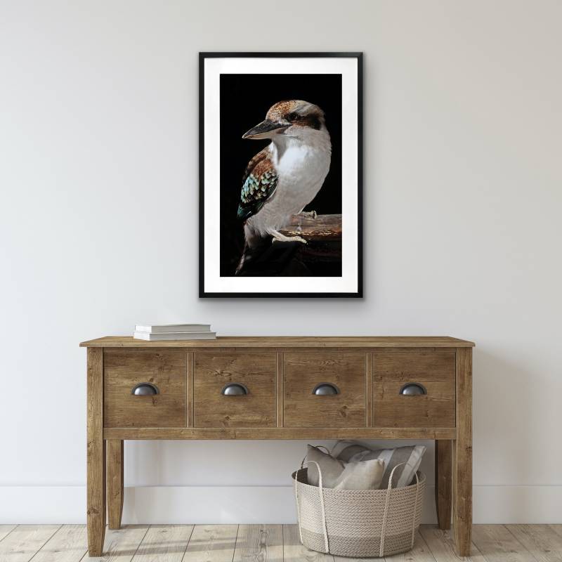 Mystery Kookaburra Artwork Framed W Glass Front 80x120cm V637-E646063