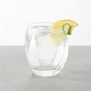 Whisky Glass 300ml V637-G0060