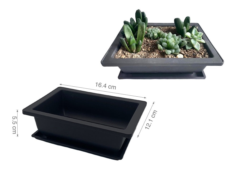 bulk 24 Bonsai Succulent Planter w Tray 16cm V637-GRT31809