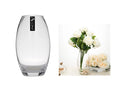 bulk 6 Round Belly Glass Vase Flower 31cm V637-GVA30308