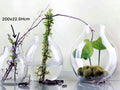 Glass Wide Bubble Vase 22cm V637-GVA32624