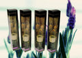 bulk 24 Scented Oil Diffuser Lavender 50Ml 8 Rattan Sticks V637-INC22610