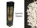 bulk 24 Scented Oil Diffuser Jasmine Freesia 50Ml 8 Rattan Sticks V637-INC22618