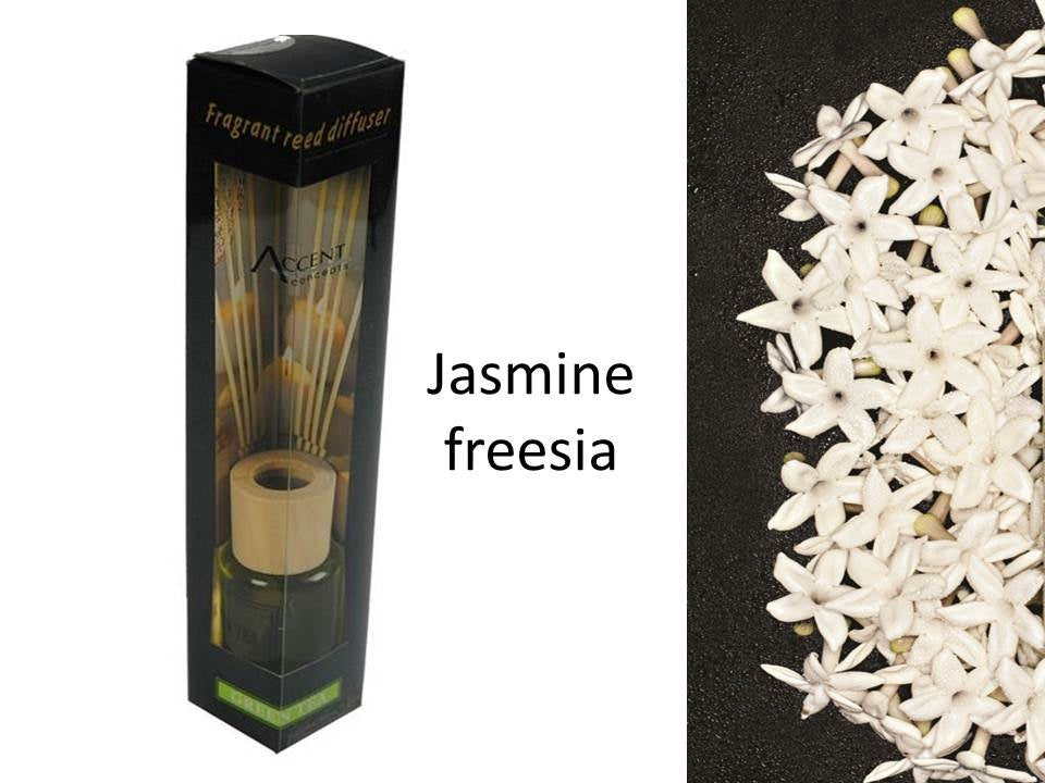 bulk 24 Scented Oil Diffuser Jasmine Freesia 50Ml 8 Rattan Sticks V637-INC22618