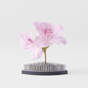 Kenzan Ikebana Pin Base 7.6cm Fan V637-U2121