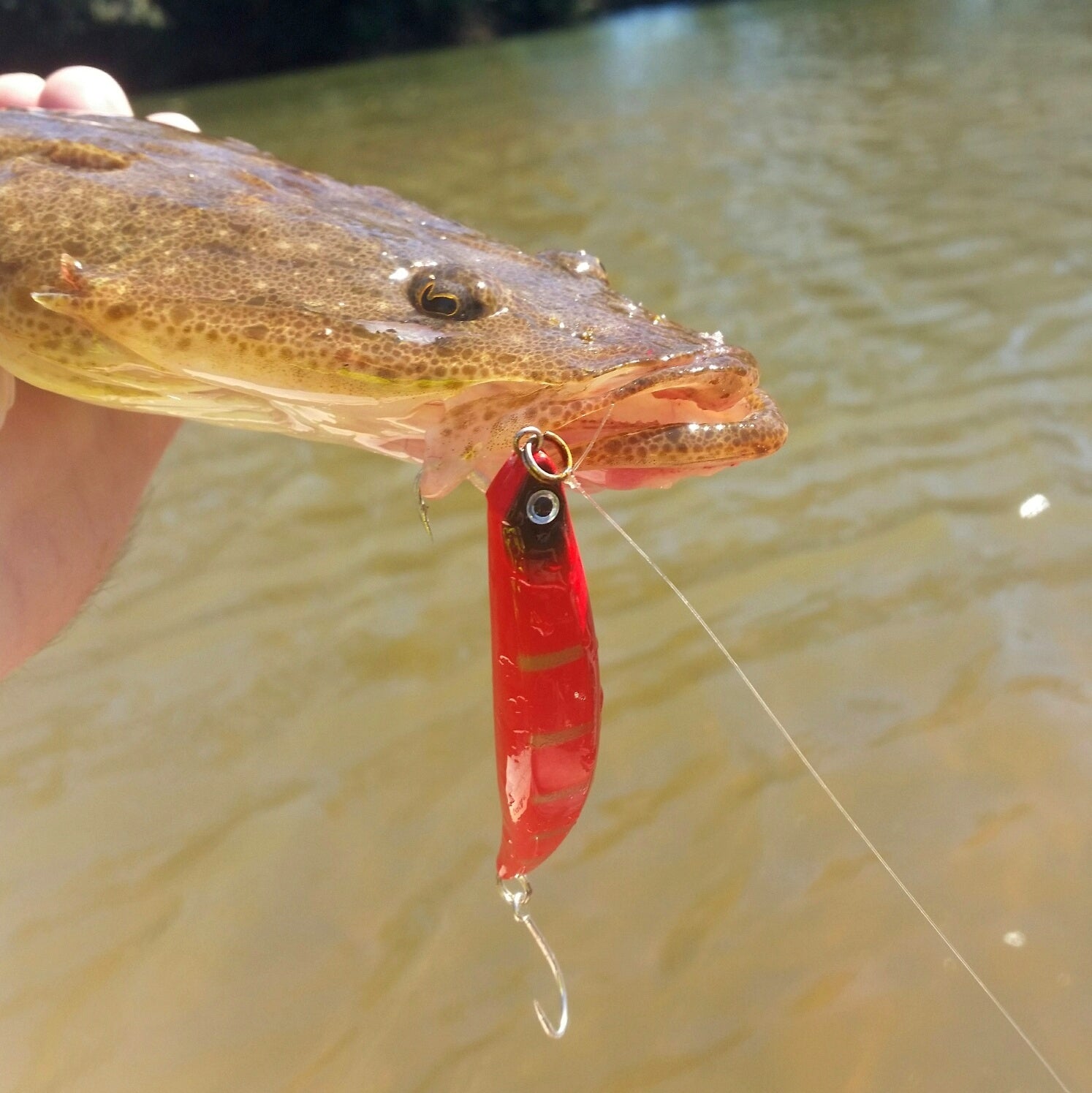 Toppu Mizzu Sidewinder, Bent Minnow, 95mm, Blue Water V658-93MC000180248