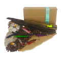 The Top Water Fishers Gift Set V658-93MC000302103