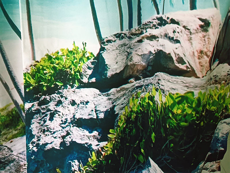 Sea View 3D Printing Blockout Curtains 2x128x160cm PINCH PLEAT Fabric Seascape V702-CNA2-160 HJ2