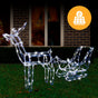 Solar LED Sleigh with Reindeer - 80 cm V720-XA7337