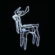 LED Ropelight Standing Reindeer Small Moving Cool White available in 2 types - Feeding V720-XL0000068