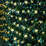 Solar 250 LED Net Light available in 3 Colors - Multicolor V720-XL0930