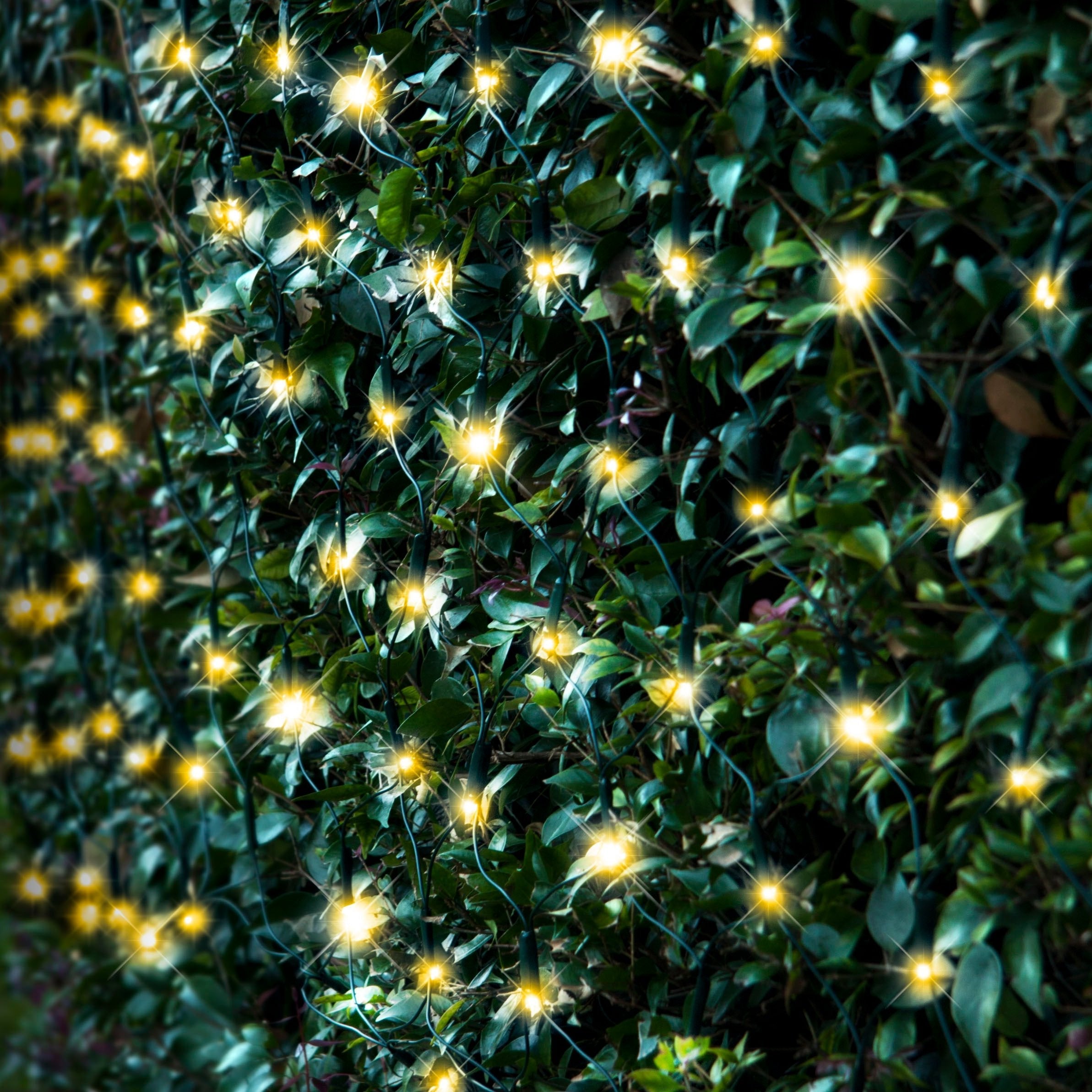 Solar 250 LED Net Light available in 3 Colors - Multicolor V720-XL0930