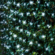 Solar 250 LED Net Light available in 3 Colors - Multicolor V720-XL0930