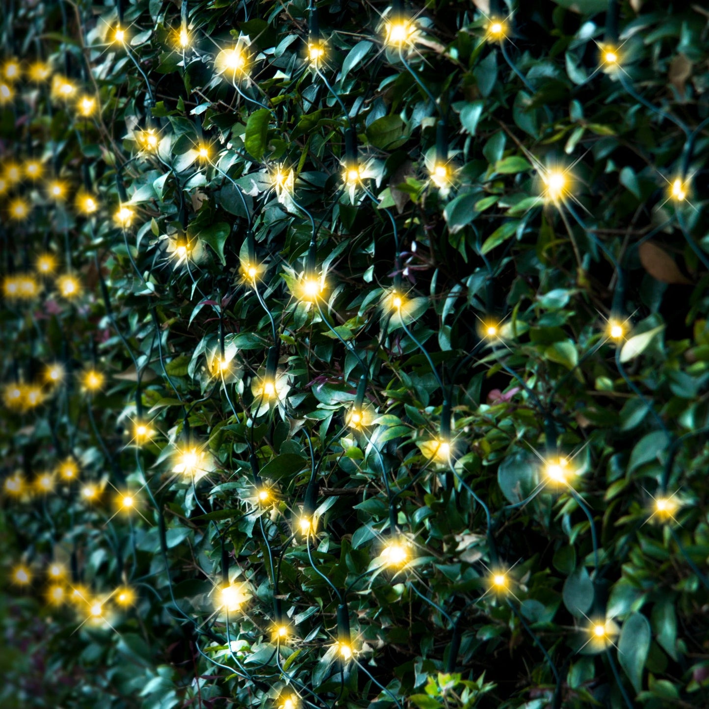 Solar 250 LED Net Light available in 3 Colors - Cool White V720-XL0931