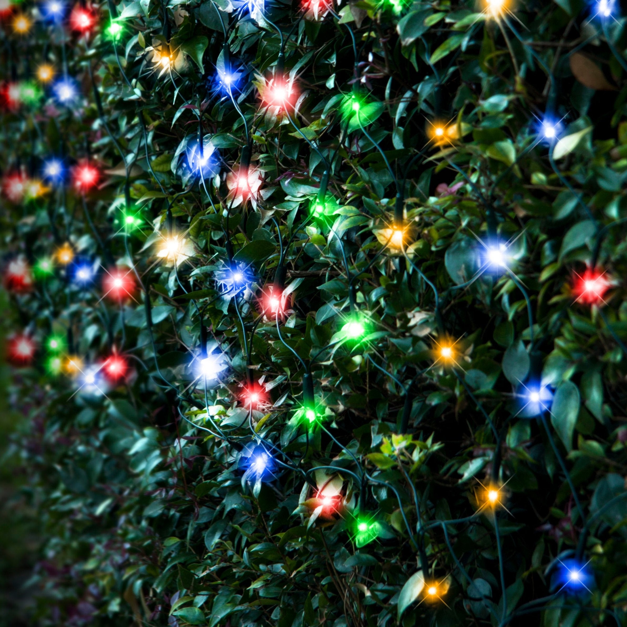 Solar 250 LED Net Light available in 3 Colors - Warm White V720-XL0932
