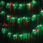 40 Pack LED Holly Lights V720-XL1473
