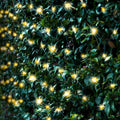 Battery Operated 180 LED Net Lights - available in 3 Colors - Cool White V720-XL1519-COOL
