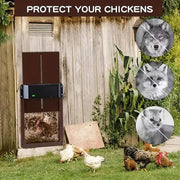 NNETM PCS Automatic Chicken House Coop Door Light-Sensitive Night And Morning Delay Auto Guard Door Opening V728-50712330-COOP-DOOR-CN