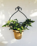 casa-verde-goya-wall-pot-holder-with-pot-cv05158 V758-CV05158