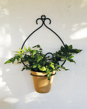 casa-verde-goya-wall-pot-holder-with-pot-cv05158 V758-CV05158