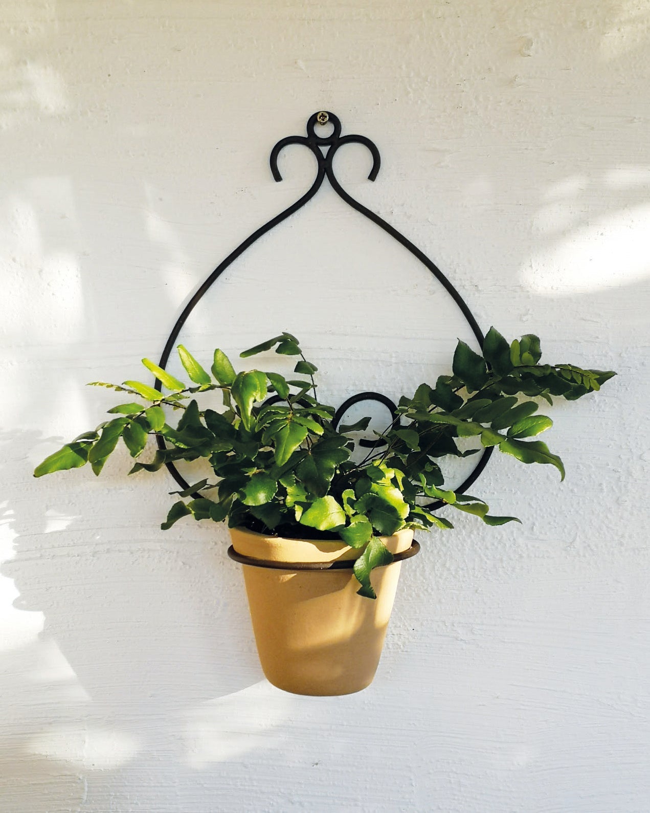 casa-verde-goya-wall-pot-holder-with-pot-cv05158 V758-CV05158