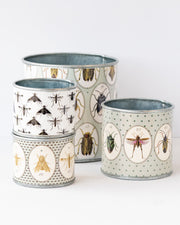 tin-planter-bugtasia-taupe-set-of-4 V758-CV20001