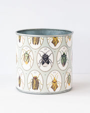 tin-planter-bugtasia-taupe-set-of-4 V758-CV20001