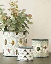tin-planter-bugtasia-taupe-set-of-4 V758-CV20001