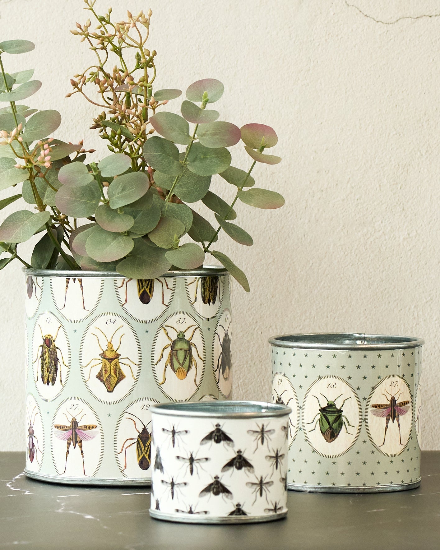 tin-planter-bugtasia-taupe-set-of-4 V758-CV20001