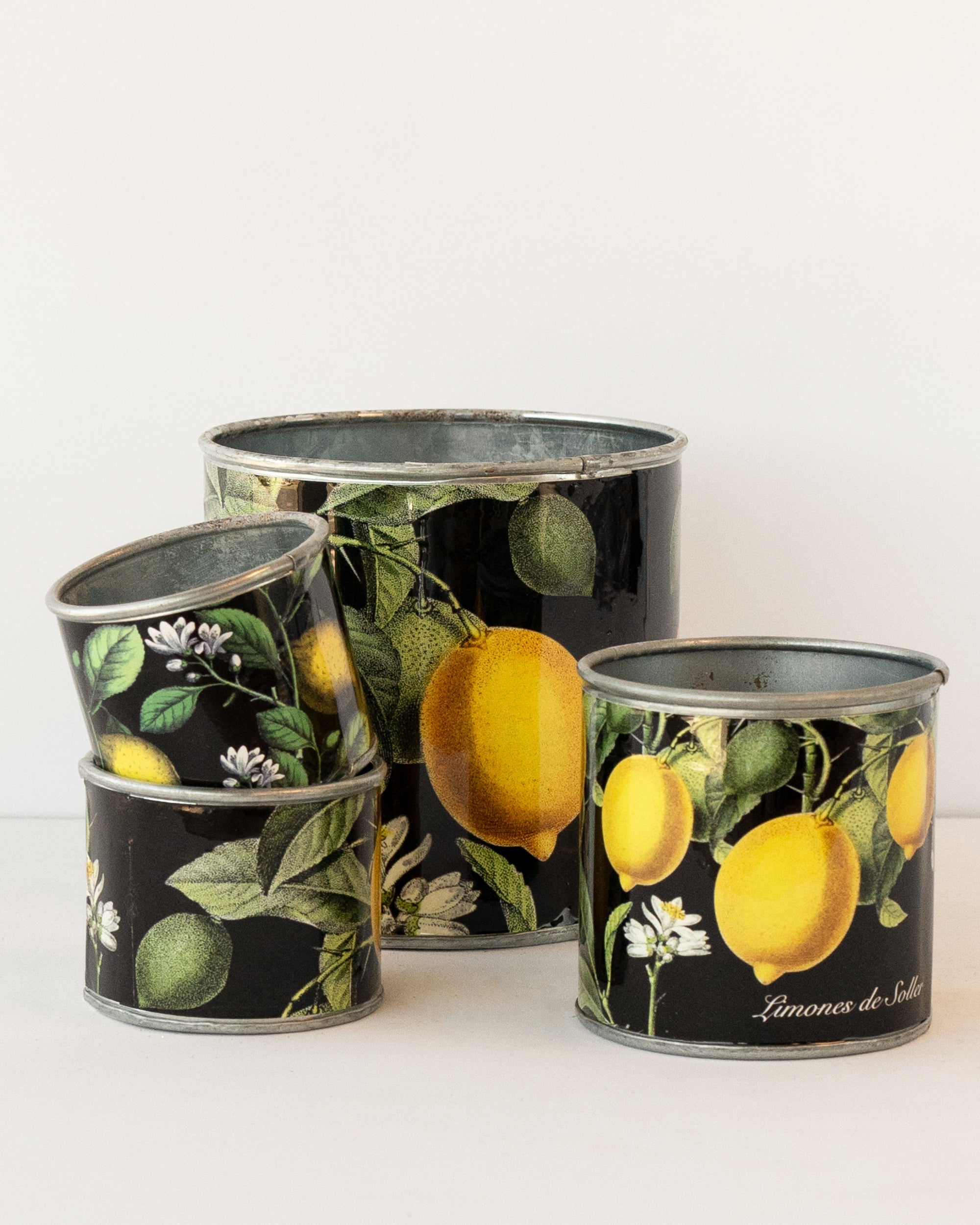 tin-planter-lemons-set-of-4 V758-CV20009