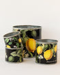 tin-planter-lemons-set-of-4 V758-CV20009