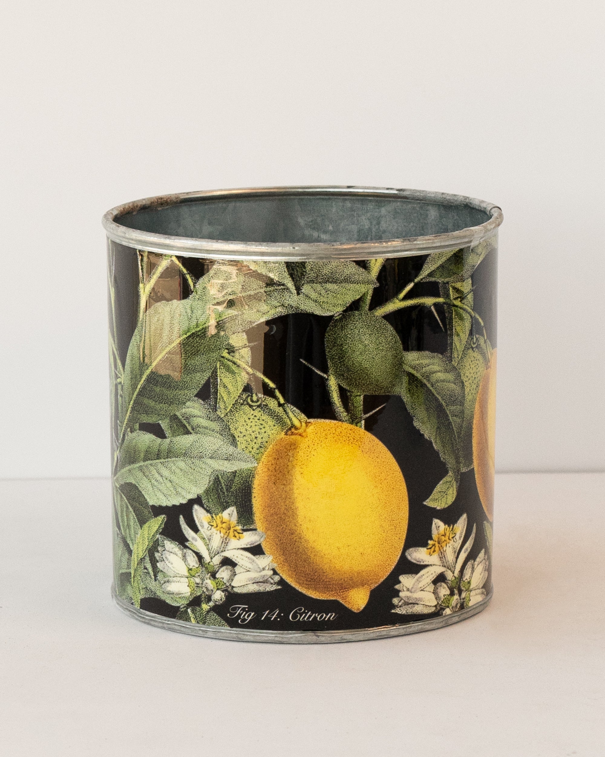 tin-planter-lemons-set-of-4 V758-CV20009