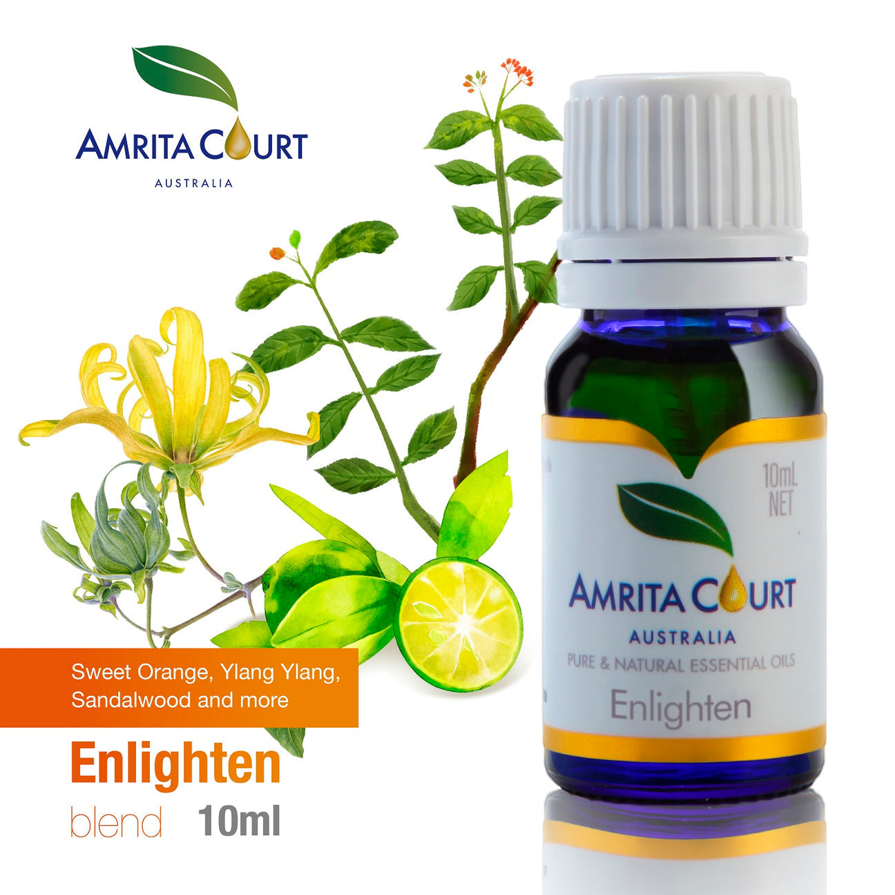 Amrita Court Pure and Essential Oils Enlighten 10ml V760-A-4